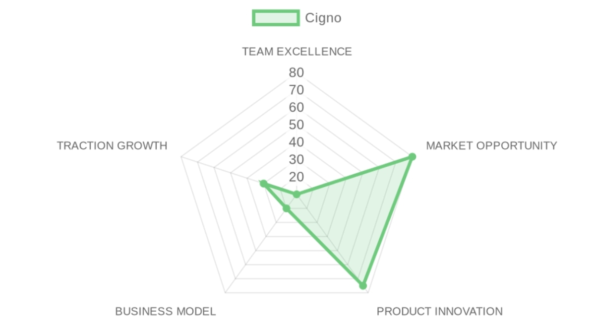 Company Analysis