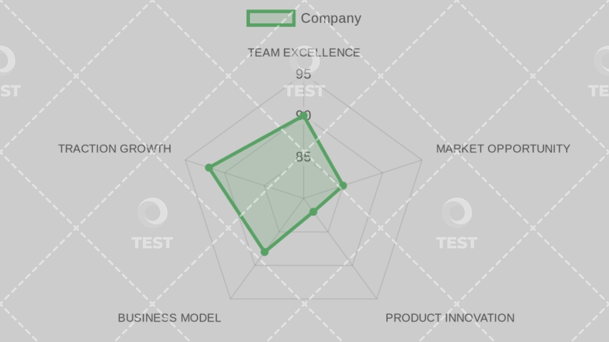 Company Analysis
