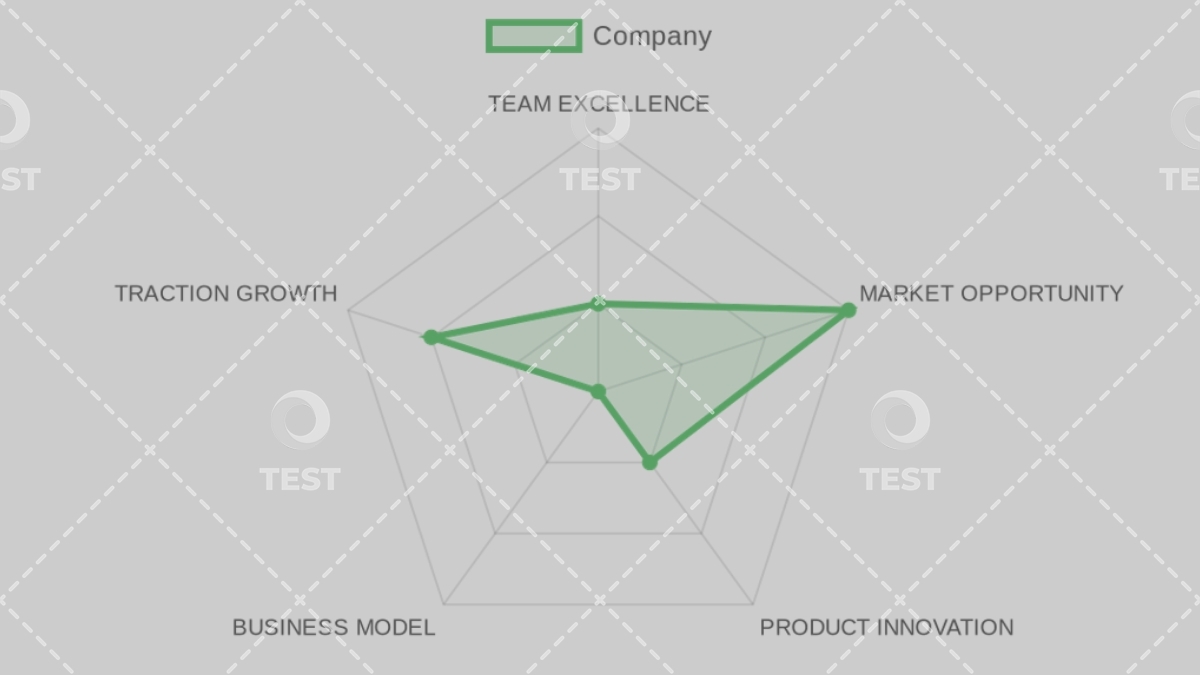 Company Analysis