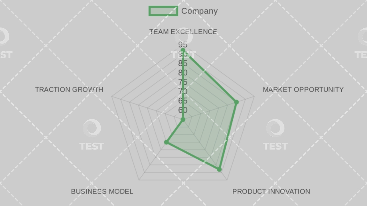 Company Analysis