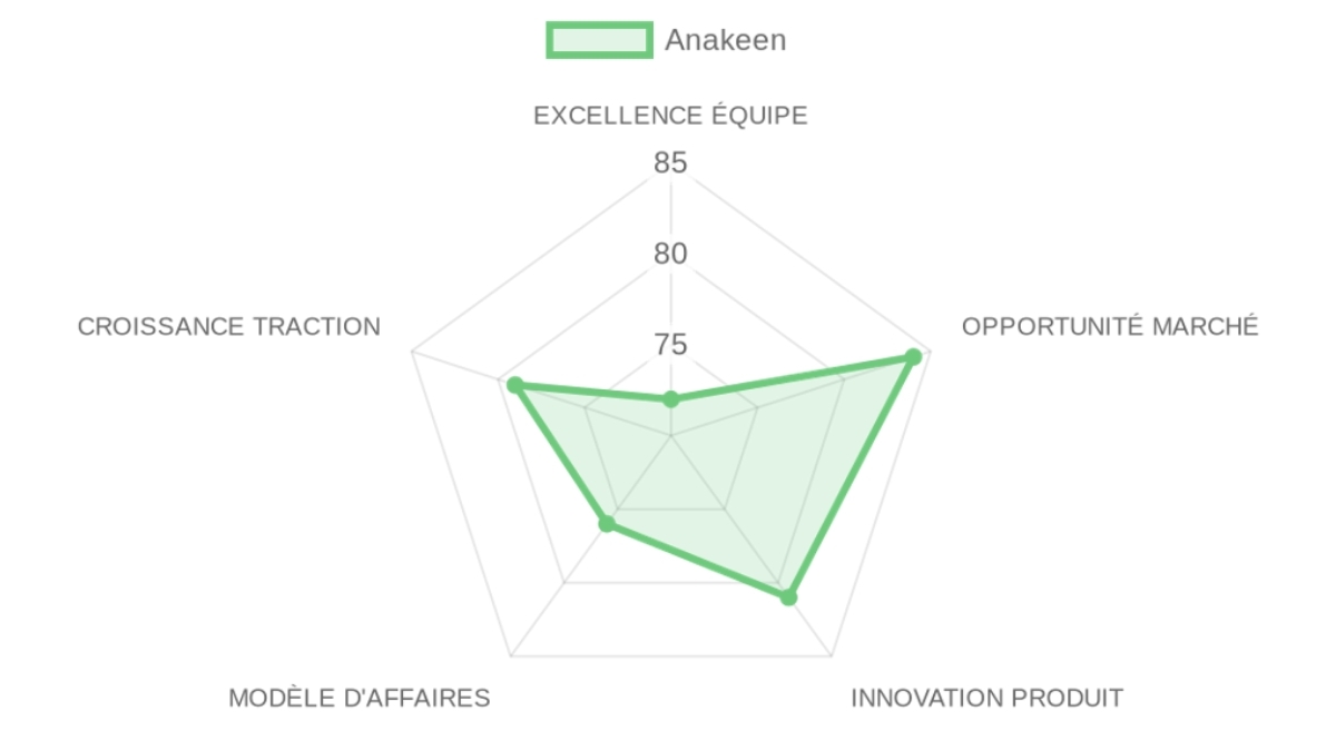 Company Analysis