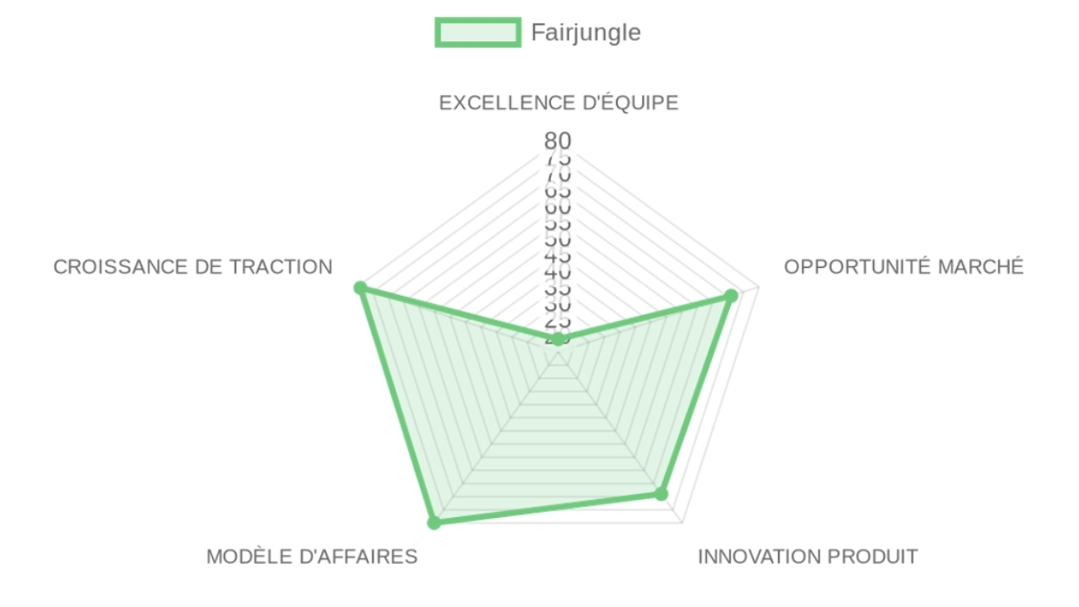 Company Analysis