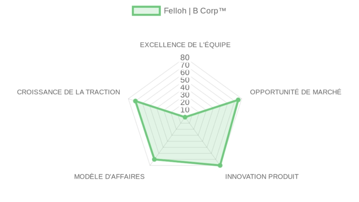 Company Analysis