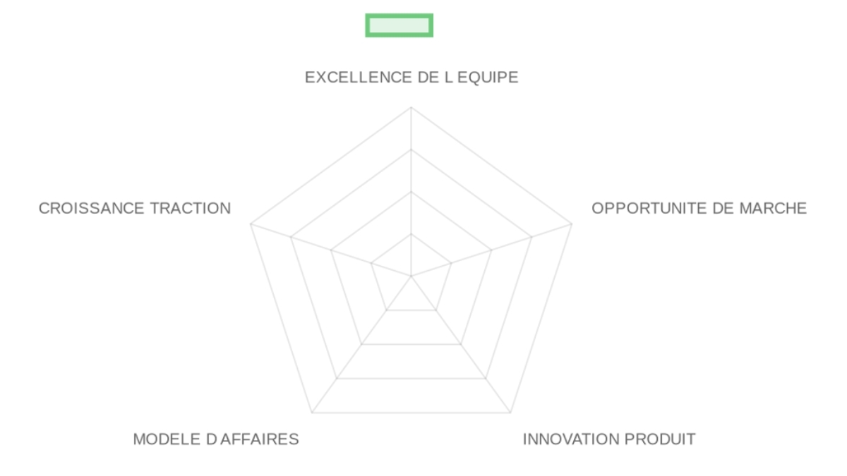 Company Analysis