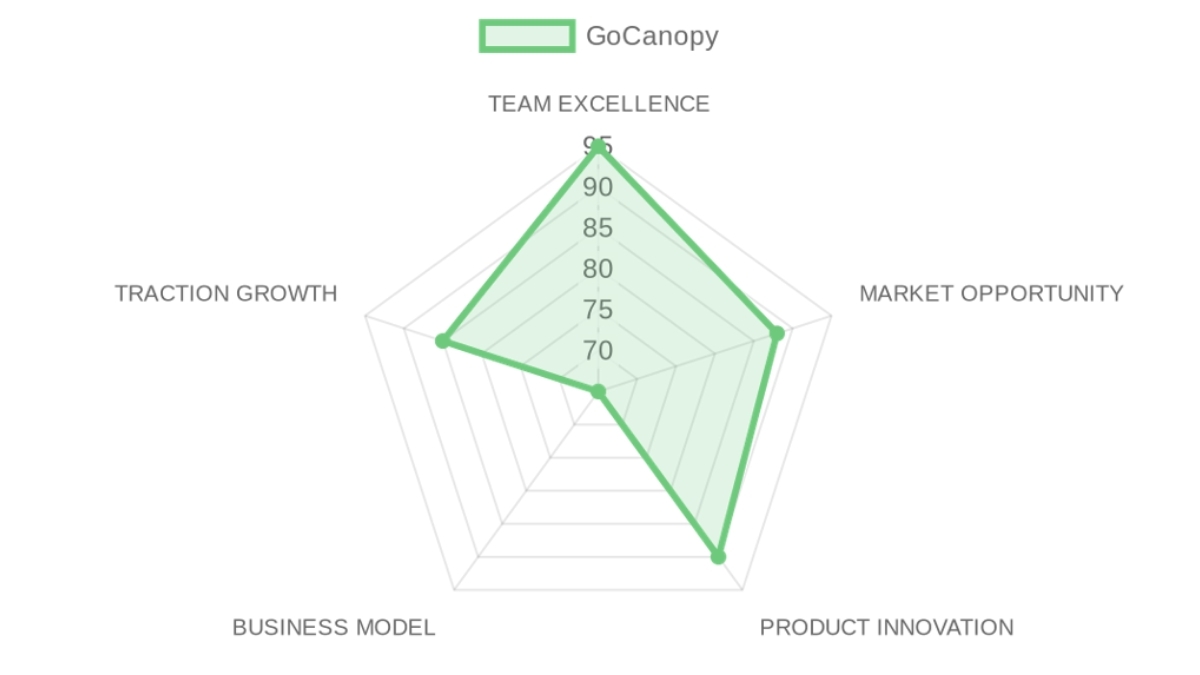 Company Analysis