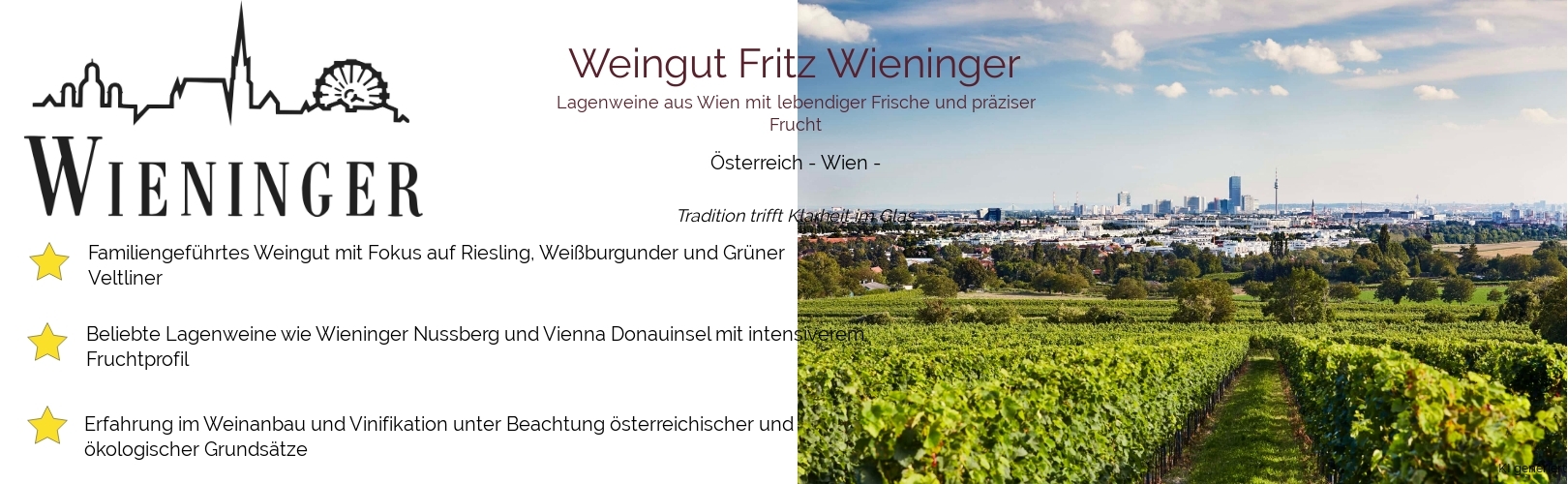 Weingut Weingut Fritz Wieninger