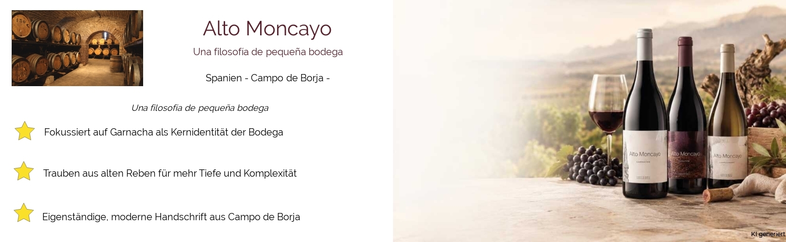 Weingut Alto Moncayo