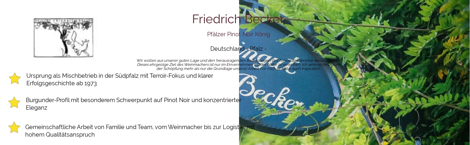 Weingut Friedrich Becker