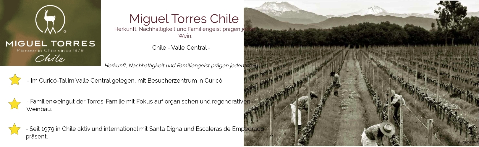 Weingut Miguel Torres Chile