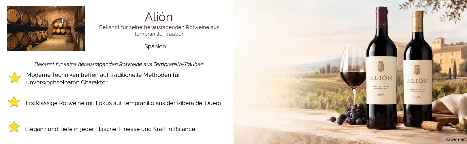 Weingut Alión