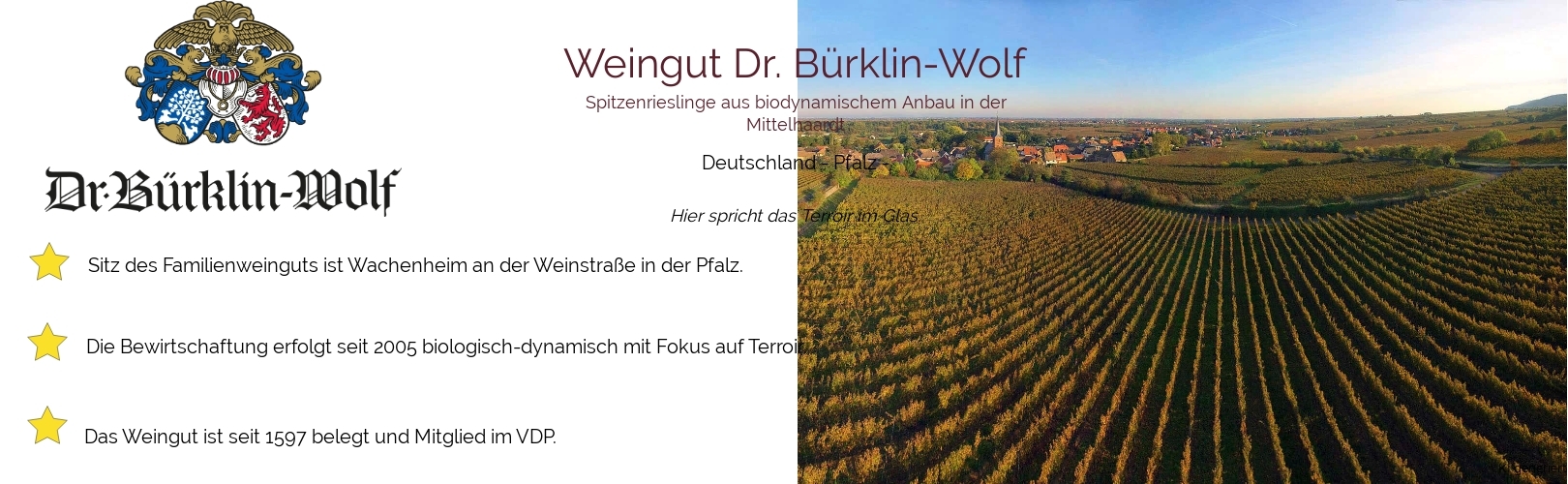 Weingut Weingut Dr. Bürklin-Wolf