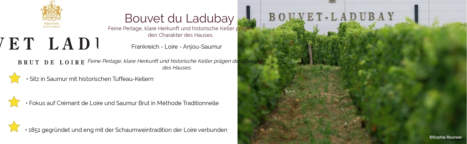 Weingut Bouvet du Ladubay