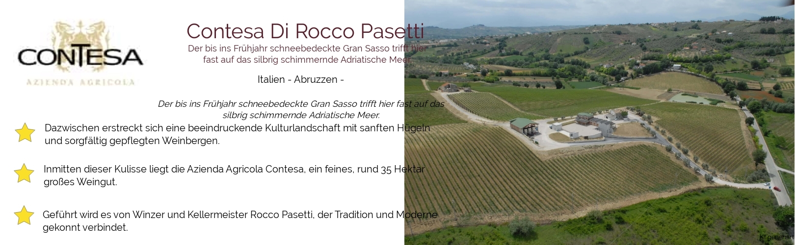 Weingut Contesa Di Rocco Pasetti