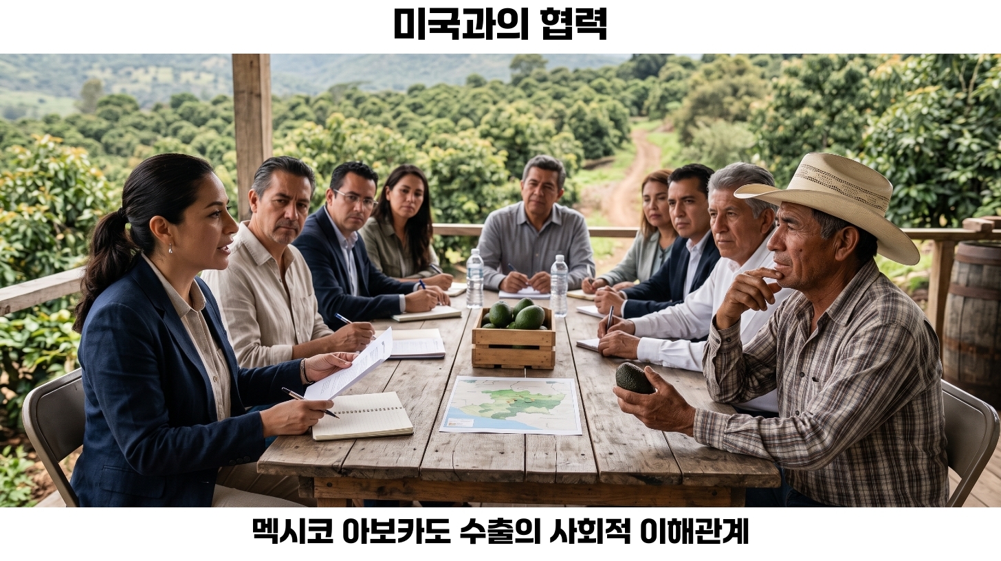 아보카도 수출의 종합 및 의견