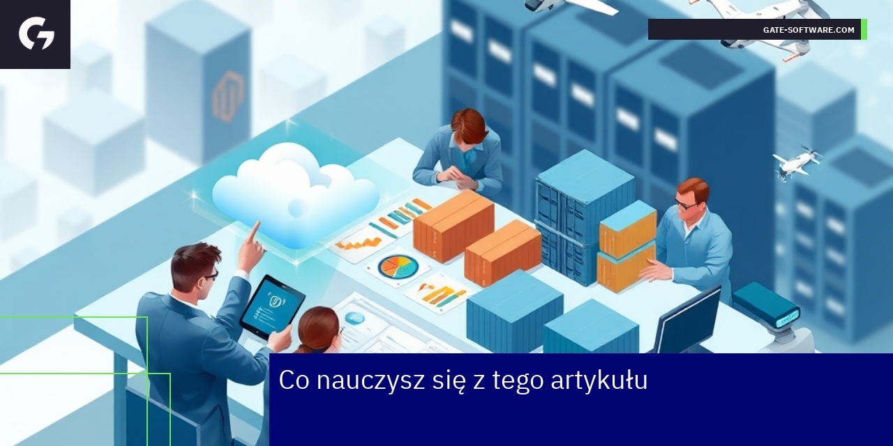 Schemat platformy e-commerce B2B i chmurę