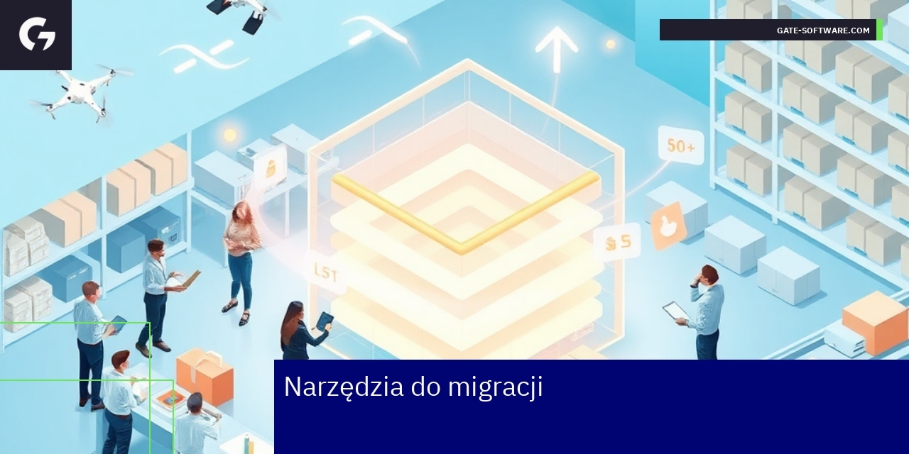 Schemat procesu migracji danych IT