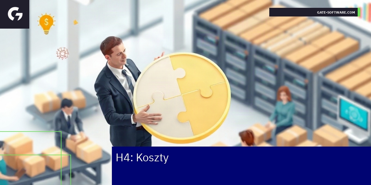 Schemat kosztów i modeli płatności platformy B2B