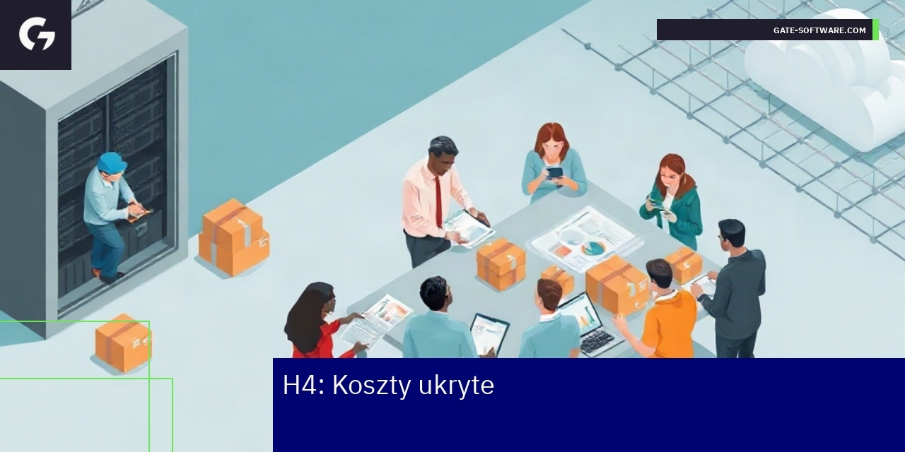 Schemat kosztów ukrytych platform B2B