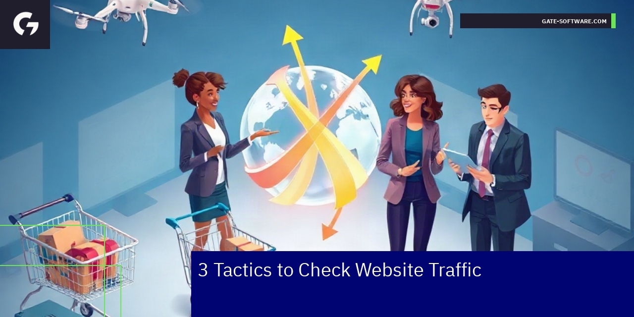 3 Expert Tactics to Check Website Traffic Diagram illustrating website traffic analysis methods
