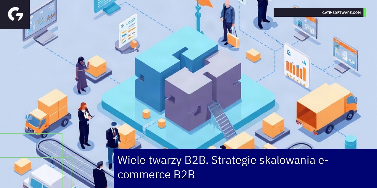 Grafika przedstawiająca strategie skalowania e-commerce B2B