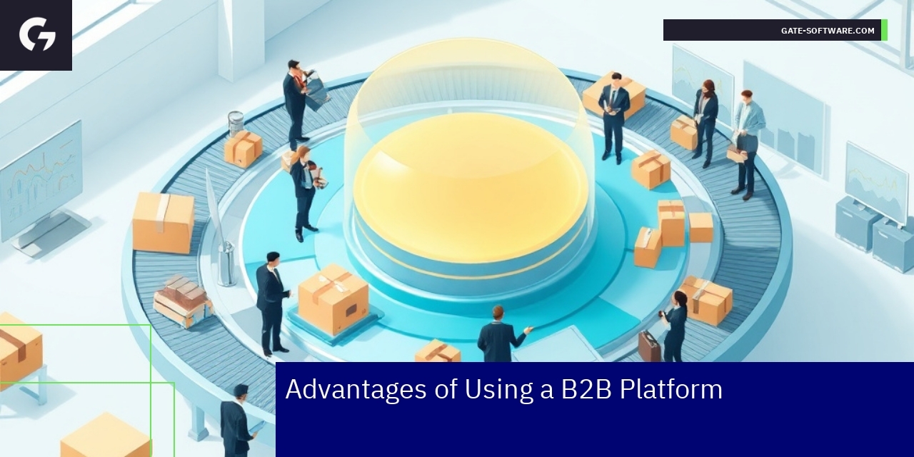 Graphic showing B2B platform benefits and features