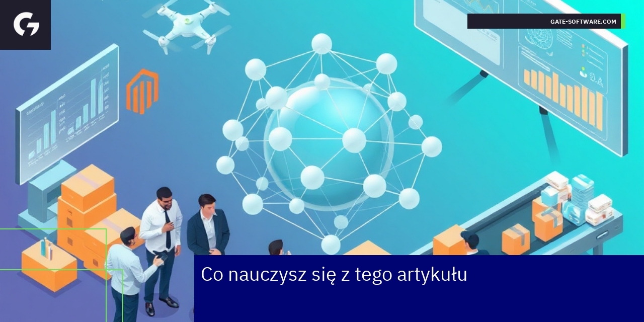 Optymalizacja i wybór Magento dla biznesu B2B schemat platformy Magento i elementy B2B