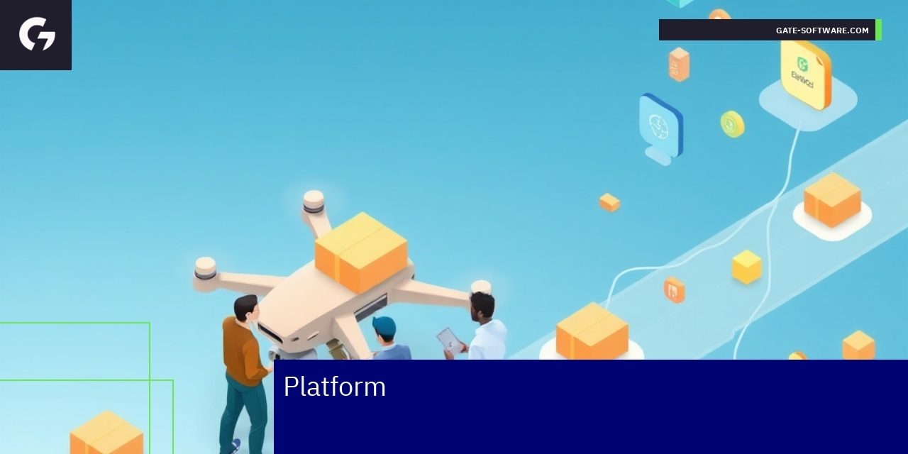 Ecommerce platform development and rapid sales launch