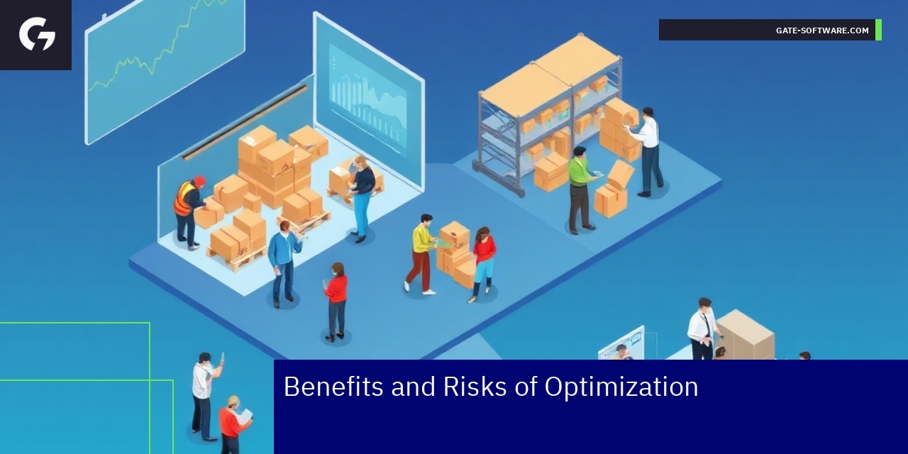Benefits and Risks of Performance Optimization Diagram showing benefits and risks of optimization