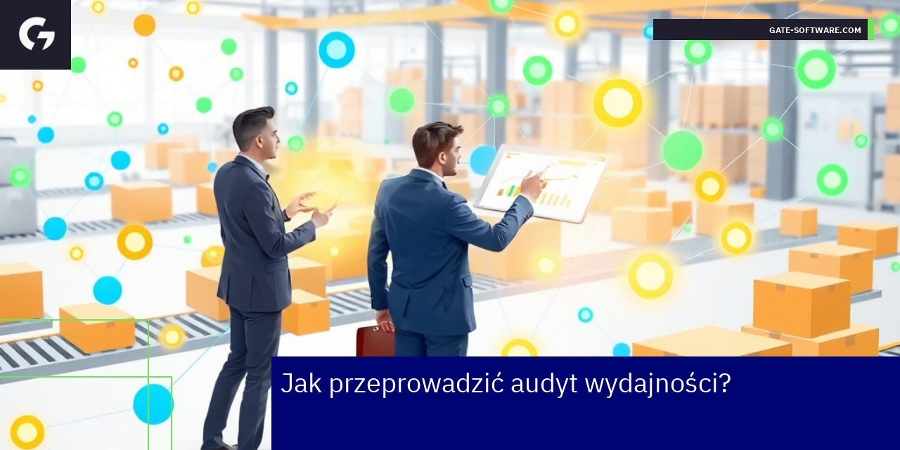 Proces audytu wydajności systemów i biznesu Schemat procesu audytu wydajności systemu