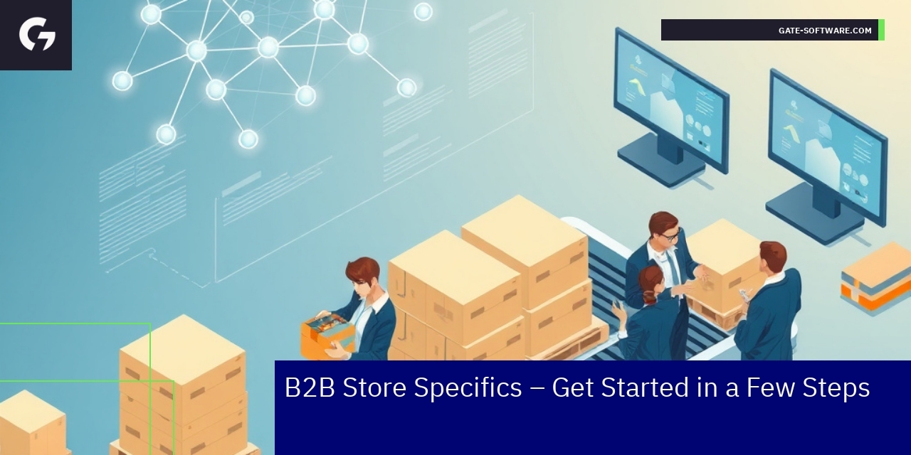 diagram of B2B store setup and optimization steps