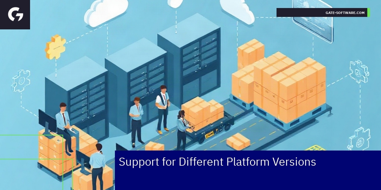 Diagram showing support across Magento platform versions
