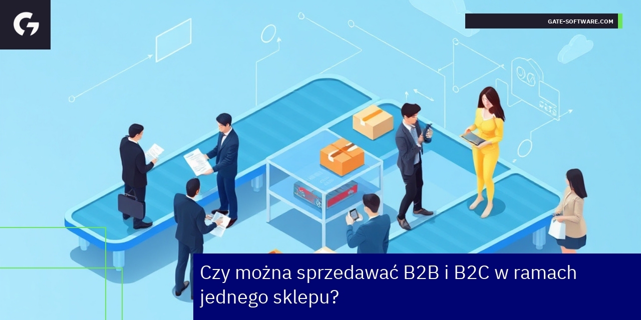 Ilustracja sklepu online obsługującego B2B i B2C