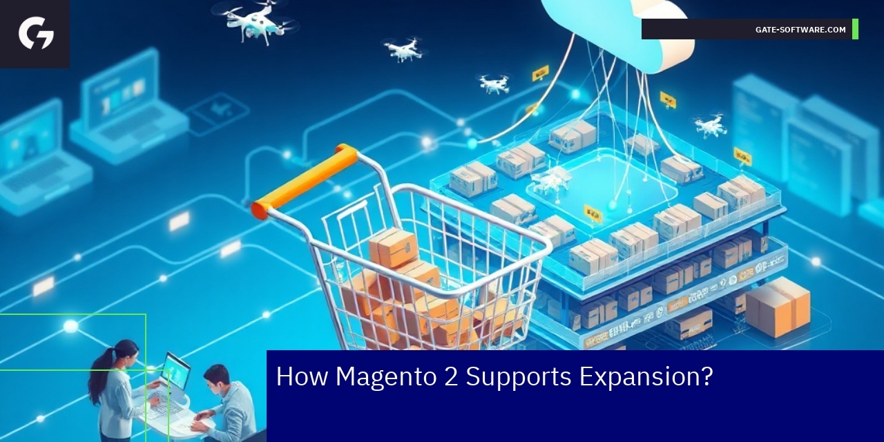 Magento 2 scalable platform with API and hosting integration