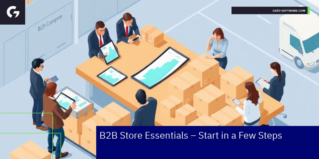 Launching a Successful B2B Ecommerce Store Business online wholesale platform with inventory management
