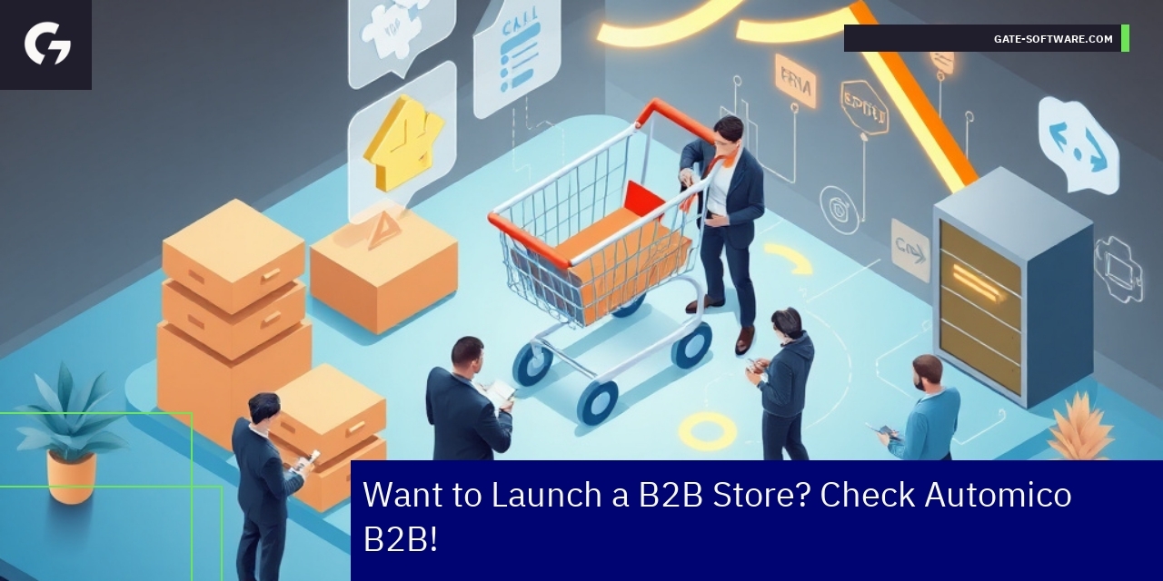 Automico B2B platform interface and technical support