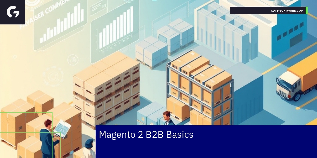 Illustration of Magento B2B platform features