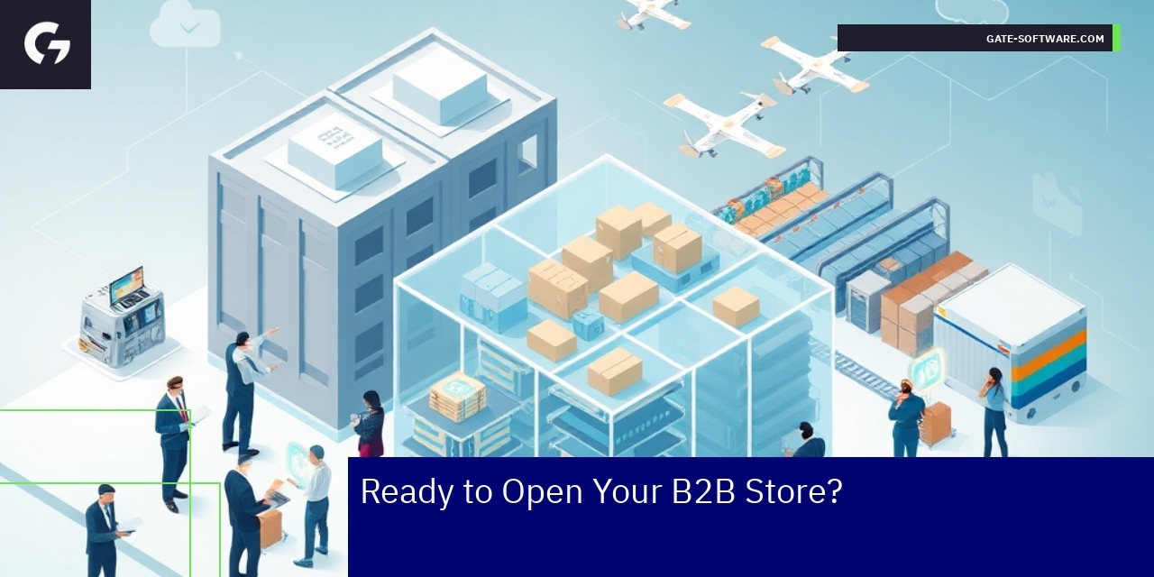 B2B ecommerce concepts with multiple accounts and platform