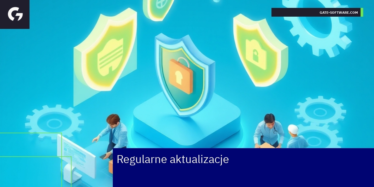 Schemat aktualizacji i zabezpieczeń systemu Hyva