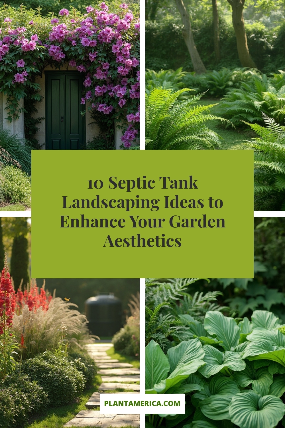 10 Septic Tank Landscaping Ideas to Enhance Your Garden Aesthetics 10 Septic Tank Landscaping Ideas to Enhance Your Garden Aesthetics