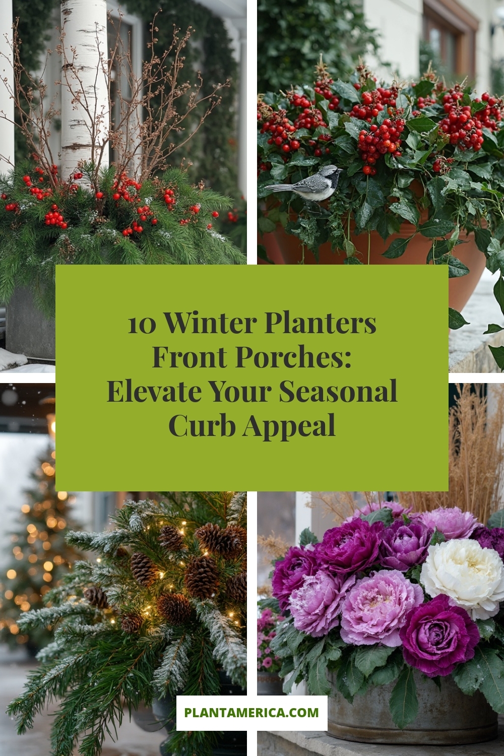 10 Winter Planters Front Porches: Elevate Your Seasonal Curb Appeal 10 Winter Planters Front Porches: Elevate Your Seasonal Curb Appeal