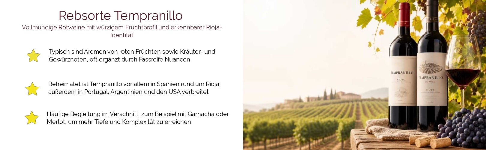 Wein & Spirituosen - Rebsorte Tempranillo