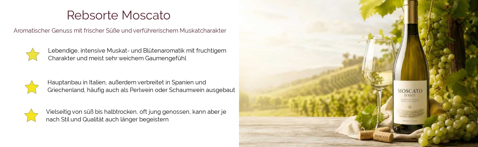 Wein & Spirituosen - Rebsorte Moscato