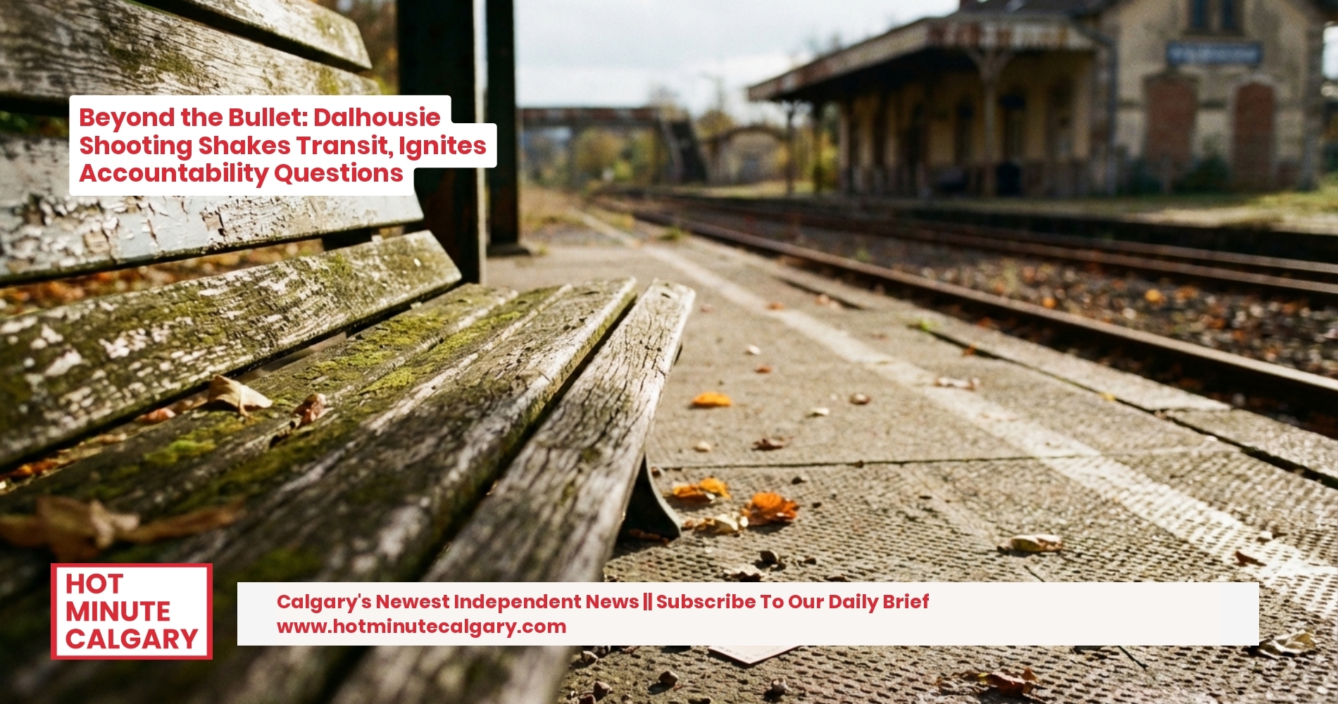 Beyond the Bullet: Dalhousie Shooting Shakes Transit, Ignites Accountability Questions