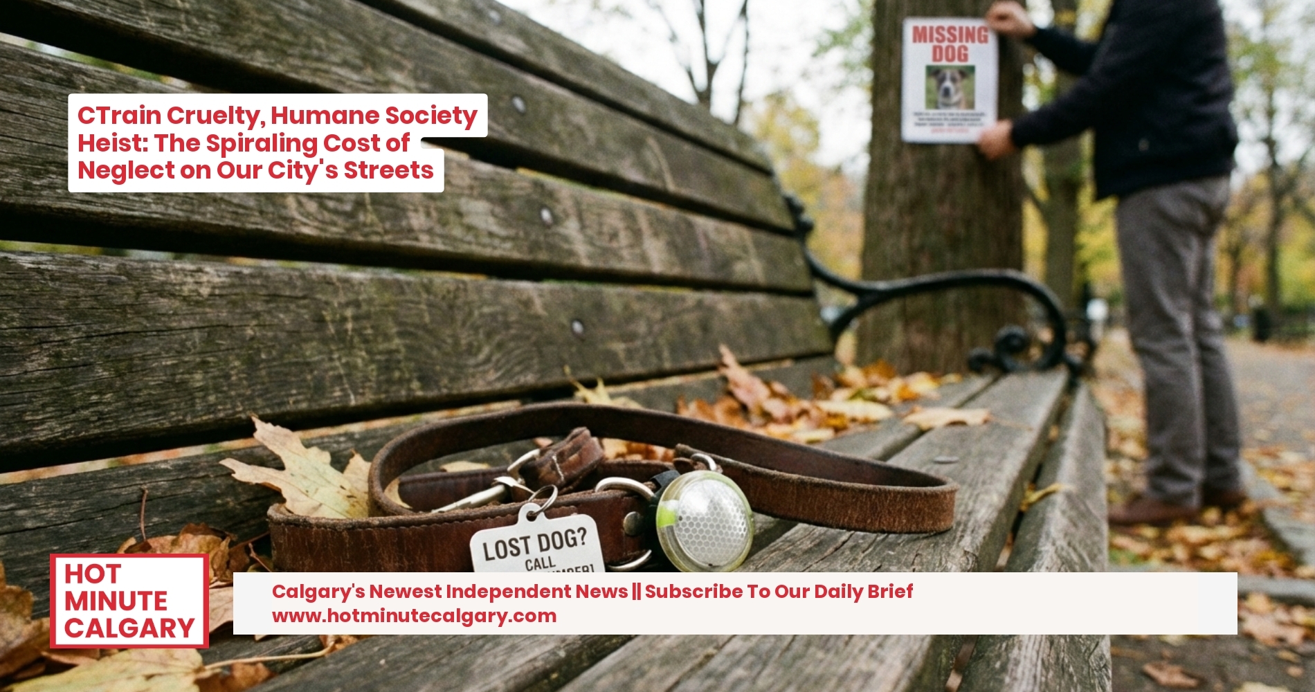 CTrain Cruelty, Humane Society Heist: The Spiraling Cost of Neglect on Our City's Streets