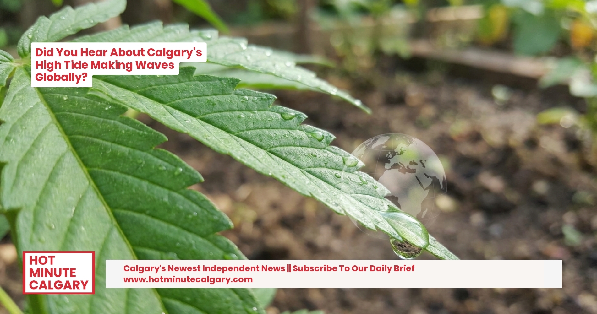 Calgary's High Tide Goes Global: Big Business, Local Impact.