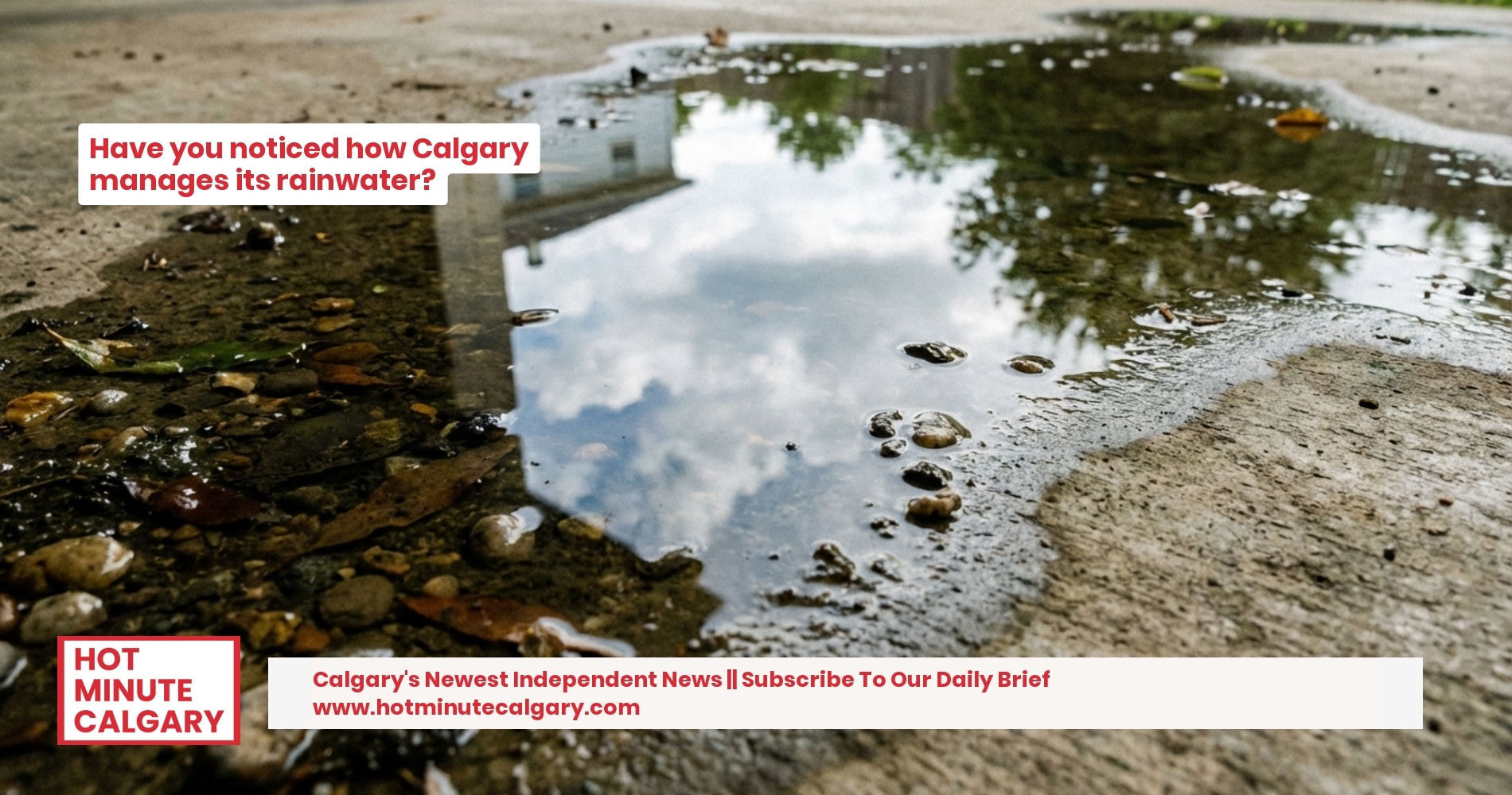 Calgary's Concrete Blanket: Mapping Impervious Surfaces and the Rising Cost of Runoff