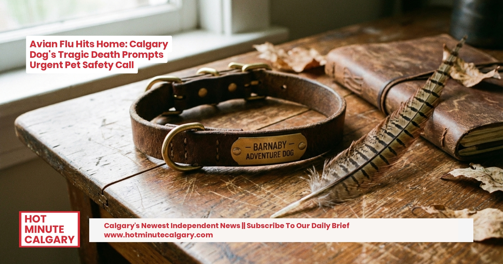 Avian Flu Hits Home: Calgary Dog's Tragic Death Prompts Urgent Pet Safety Call