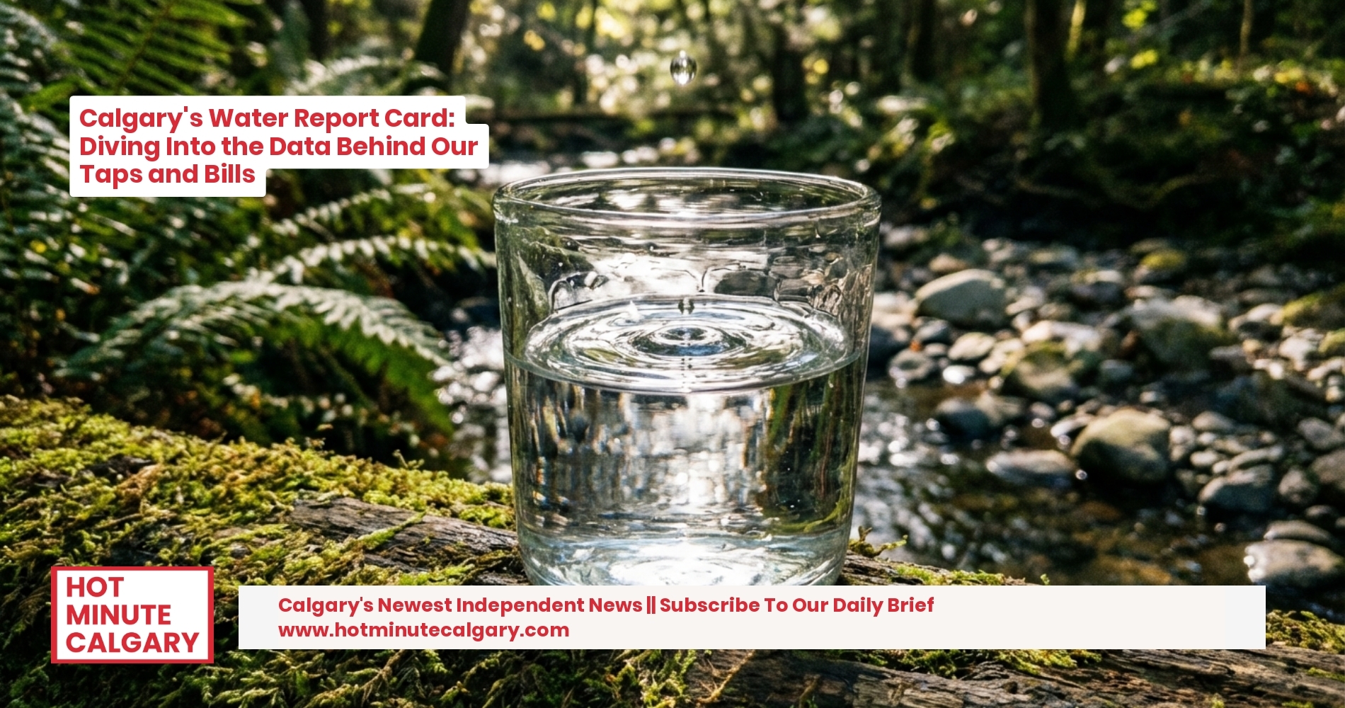 Calgary's Water Report Card: Diving Into the Data Behind Our Taps and Bills