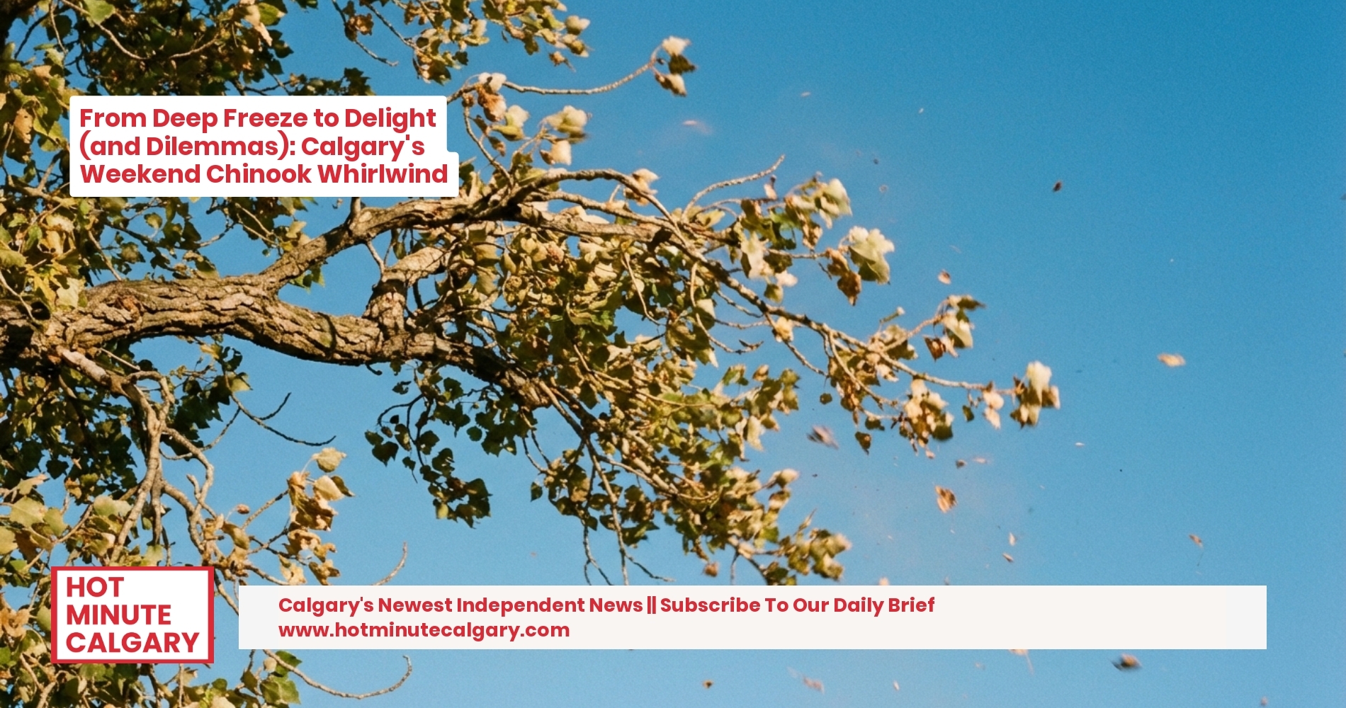 From Deep Freeze to Delight (and Dilemmas): Calgary's Weekend Chinook Whirlwind