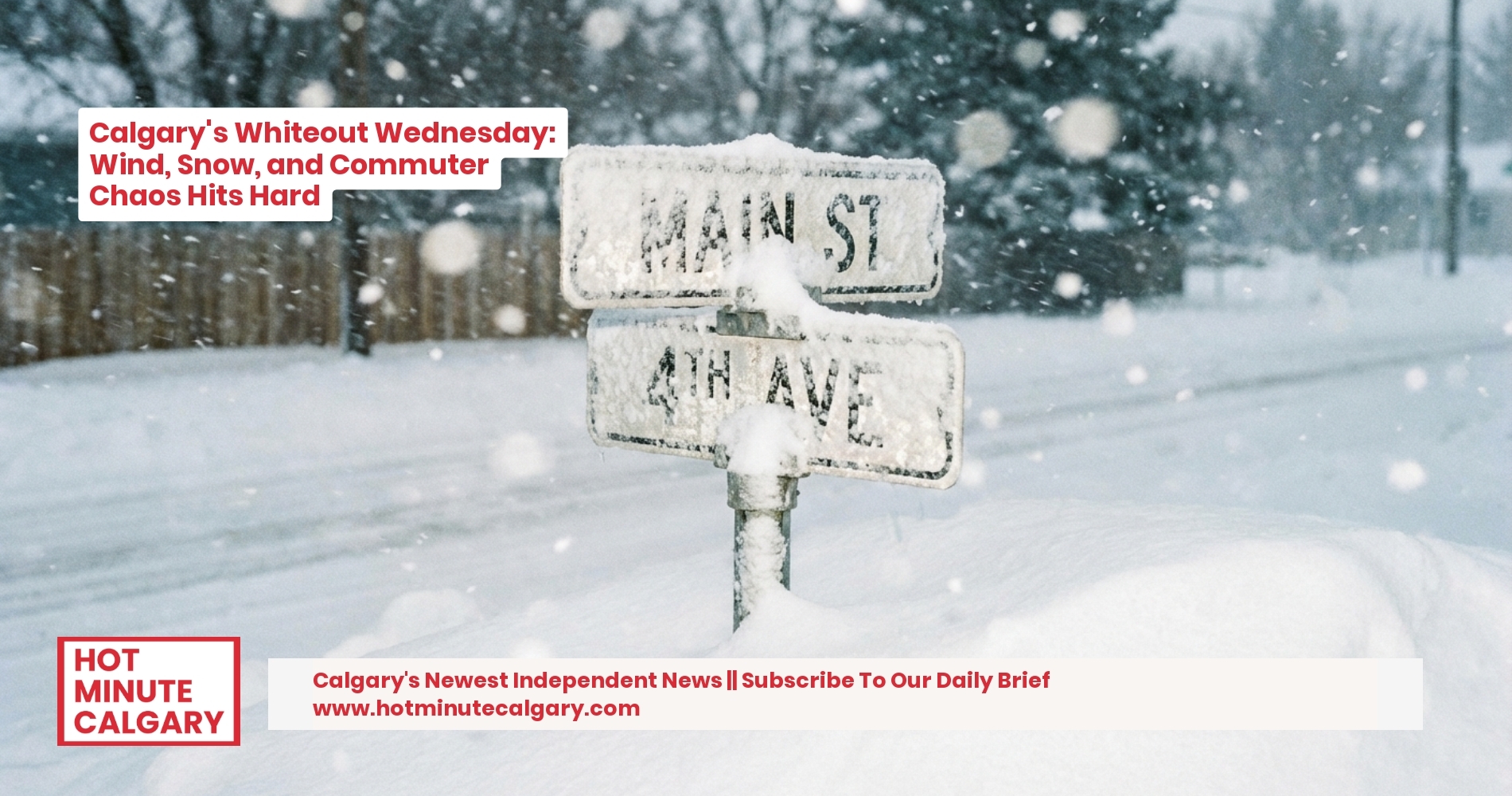 Calgary's Whiteout Wednesday: Wind, Snow, and Commuter Chaos Hits Hard